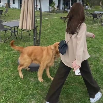 起底组